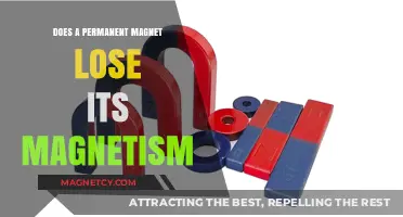 Exploring the Longevity of Magnetism in Permanent Magnets