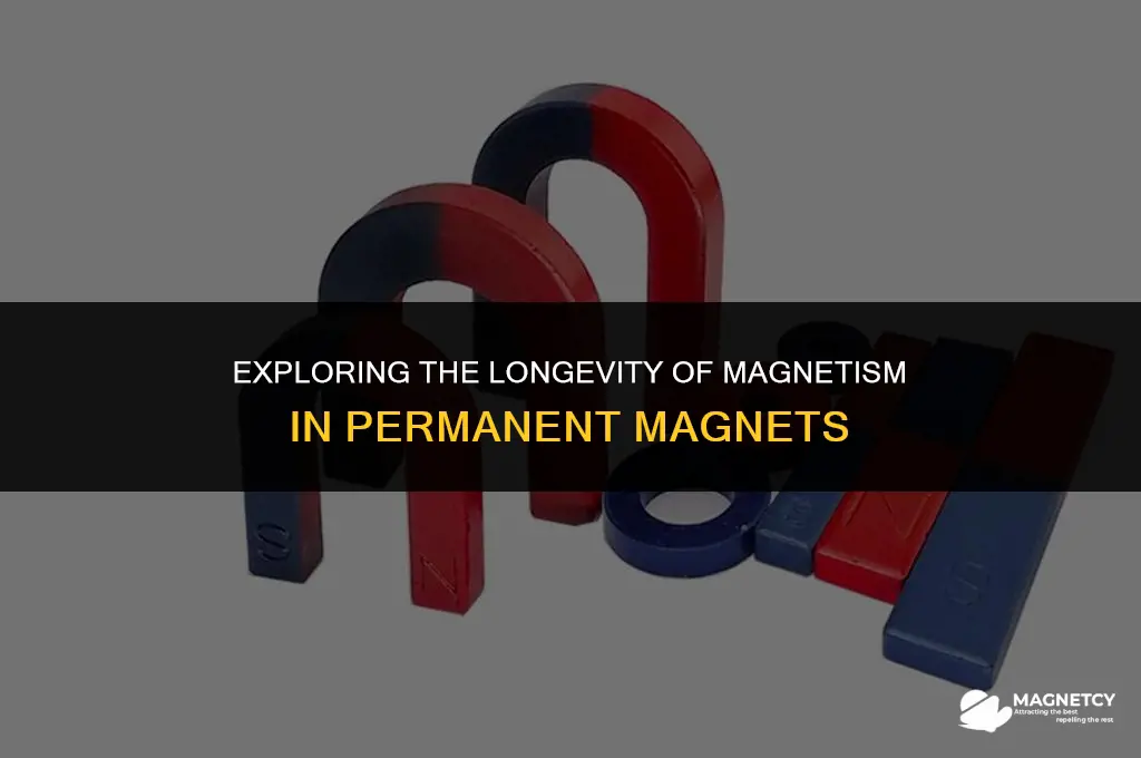 does a permanent magnet lose its magnetism
