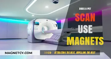 PET Scans vs. Magnets: Understanding the Technology Behind Medical Imaging