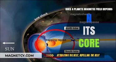 Exploring Planetary Magnetism: The Core Connection Unveiled