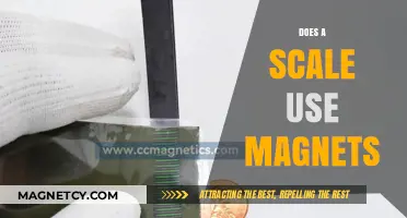 Do Scales Use Magnets? Unveiling the Science Behind Weight Measurement