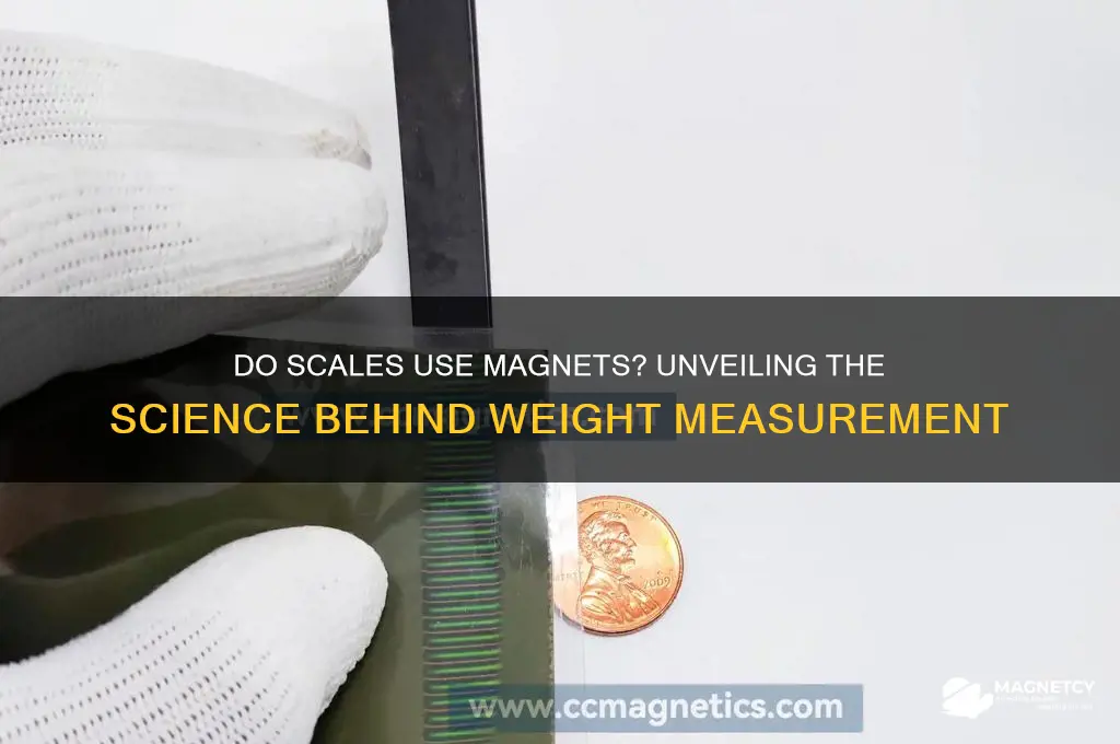 does a scale use magnets