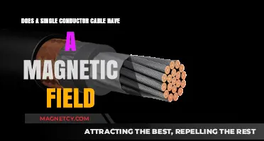Exploring the Magnetic Mysteries of Single Conductor Cables