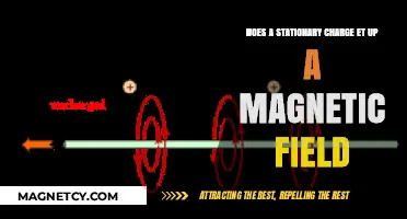 Exploring the Link Between Stationary Charges and Magnetic Fields