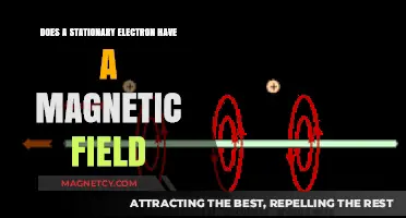 Exploring the Magnetic Field of a Stationary Electron: A Deep Dive
