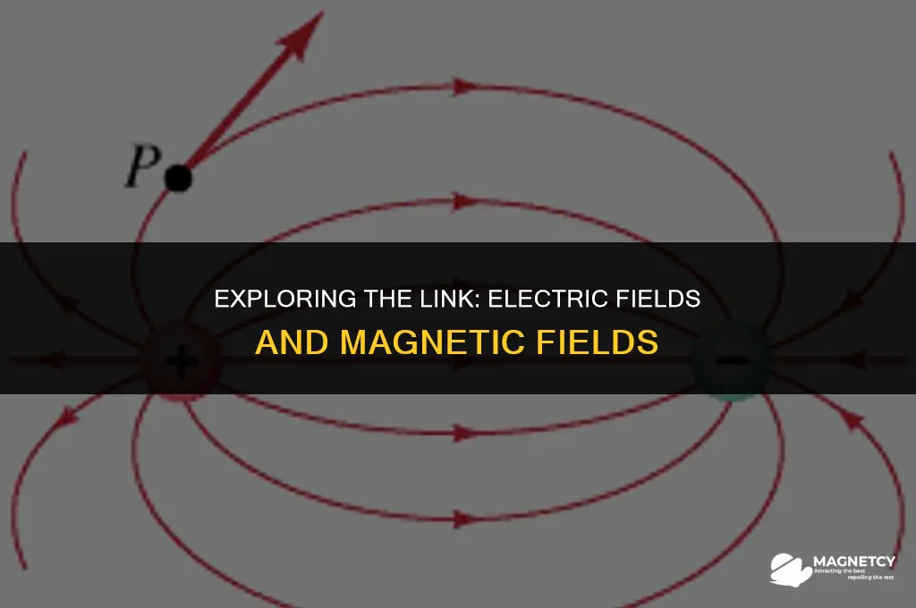 does a steady e field create a magnetic field