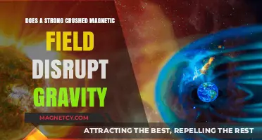 Exploring the Intersection of Magnetism and Gravity: A Scientific Inquiry