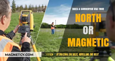 True North vs. Magnetic North: Which Does a Surveyor Use?