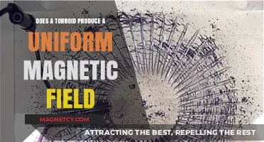 Understanding Toroids: Do They Produce a Uniform Magnetic Field?