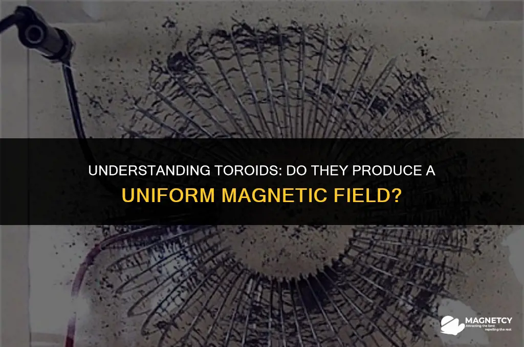 does a torroid produce a uniform magnetic field