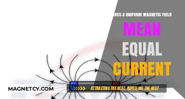 Exploring the Link Between Uniform Magnetic Fields and Current Distribution
