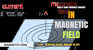 Exploring Electromagnetism: How Wires Generate Current in Magnetic Fields