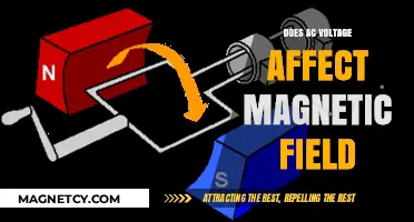 Exploring the Relationship Between AC Voltage and Magnetic Fields