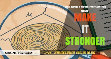Magnetism Mystery: Does Combining Magnets Intensify Their Strength?