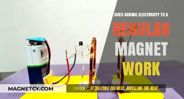 Electrifying Magnets: Exploring the Fusion of Electricity and Magnetism