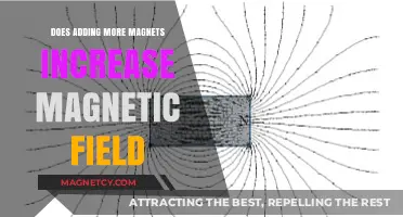 Exploring Magnetism: How Additional Magnets Affect the Magnetic Field