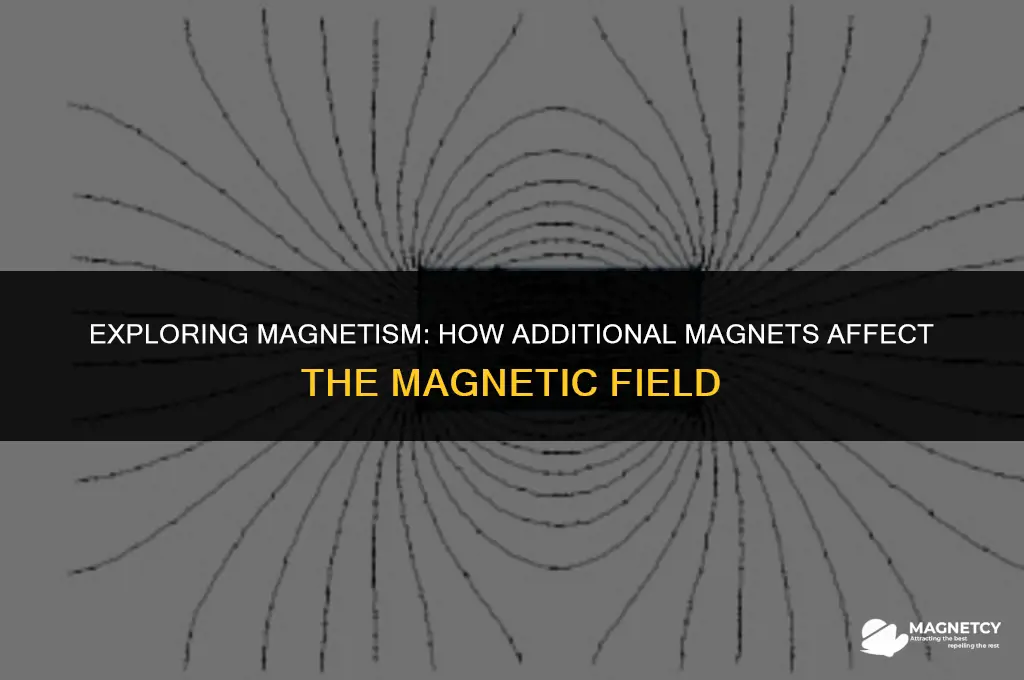 does adding more magnets increase magnetic field