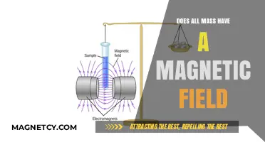 Exploring the Magnetic Mysteries of Matter: Does All Mass Have a Magnetic Field?