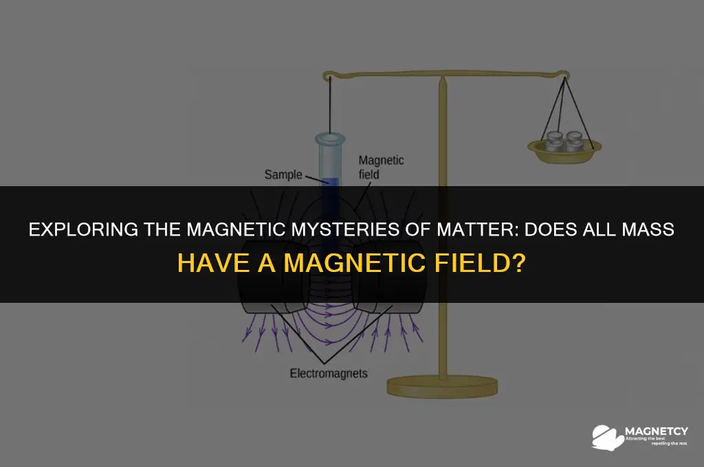 does all mass have a magnetic field