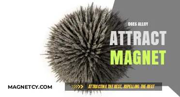 Do Alloys Attract Magnets? Exploring Magnetic Properties of Metal Alloys