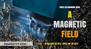 Exploring the Magnetic Properties of Aluminum: Facts and Myths