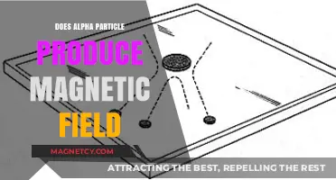 Exploring the Magnetic Mysteries of Alpha Particles
