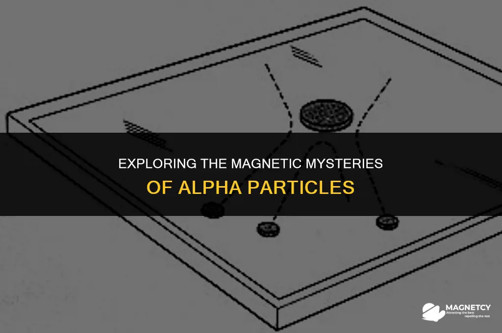 does alpha particle produce magnetic field