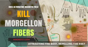 Debunking Myths: The Truth About Magnetic Fields and Morgellon Fibers