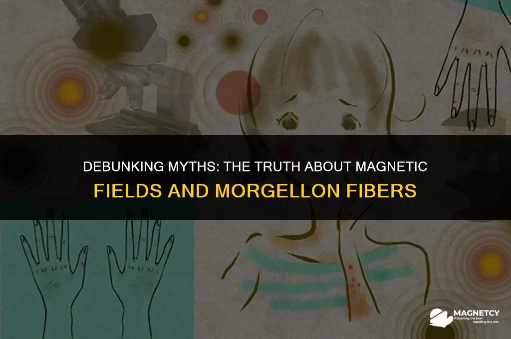 does alternating magnetic field kill morgellon fibers