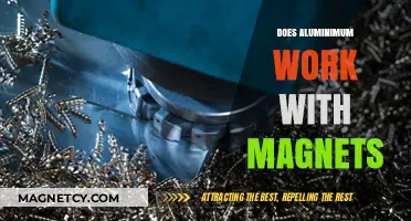 Exploring the Magnetic Properties of Aluminum: Facts and Myths