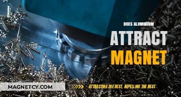 Does Aluminium Attract Magnets? Unveiling the Magnetic Truth About Aluminium