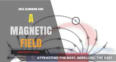 Exploring the Magnetic Properties of Aluminum: Facts and Myths