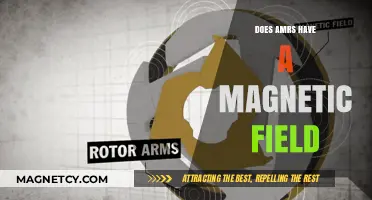 Exploring the Magnetic Mysteries of ARMS: A Deep Dive