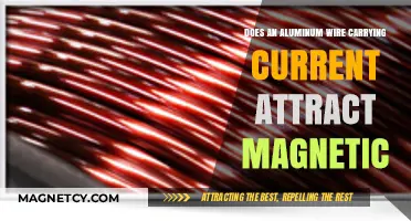 Does Aluminum Wire Carrying Current Attract Magnets? Exploring the Science