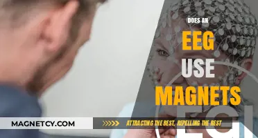 EEG Explained: Understanding Its Technology Without Magnets