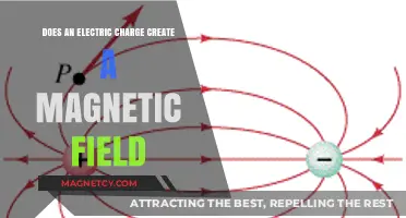 Exploring the Connection: Electric Charges and Magnetic Fields