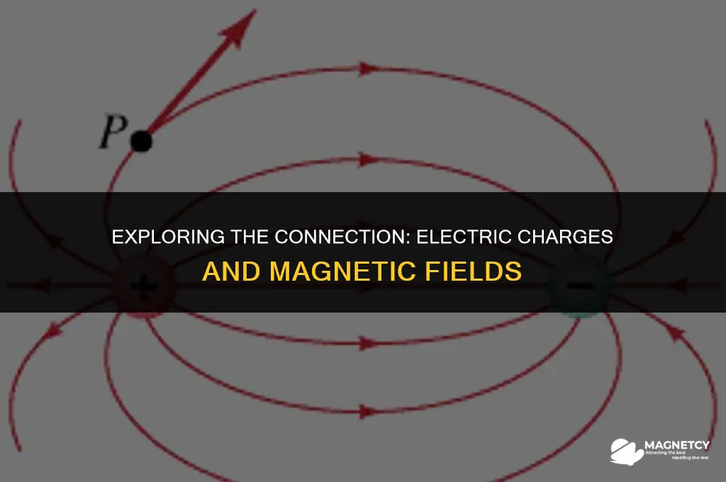 does an electric charge create a magnetic field