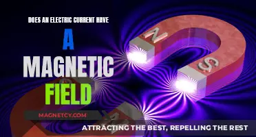 Exploring the Intricate Relationship Between Electric Currents and Magnetic Fields