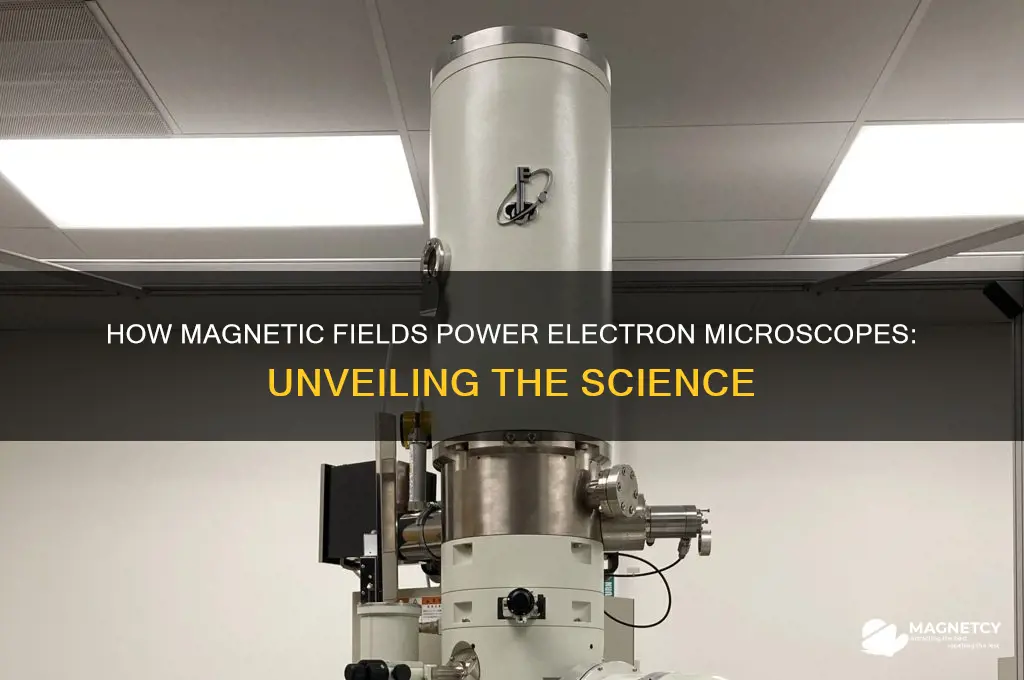 does an electron microscope use magnetic field