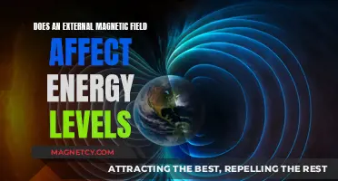 Exploring the Impact of External Magnetic Fields on Energy Levels