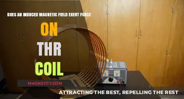 Exploring the Interaction Between Induced Magnetic Fields and Coils