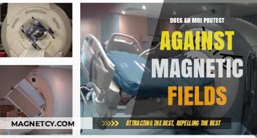 Shielding Your Health: MRI Safety Amidst Magnetic Fields