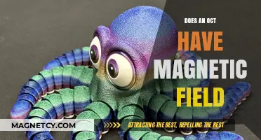 Exploring the Magnetic Mysteries of Octopuses: A Deep Dive