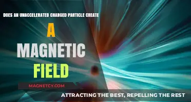 Exploring the Magnetic Field of an Unaccelerated Charged Particle