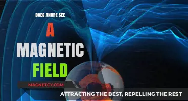 Exploring Magnetic Fields: Andre's Scientific Journey Unveiled