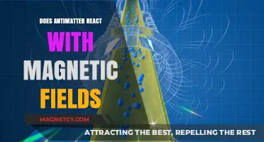 Exploring Antimatter's Intriguing Interaction with Magnetic Fields