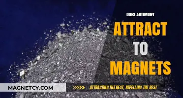 Does Antimony Attract to Magnets? Exploring Magnetic Properties of Antimony