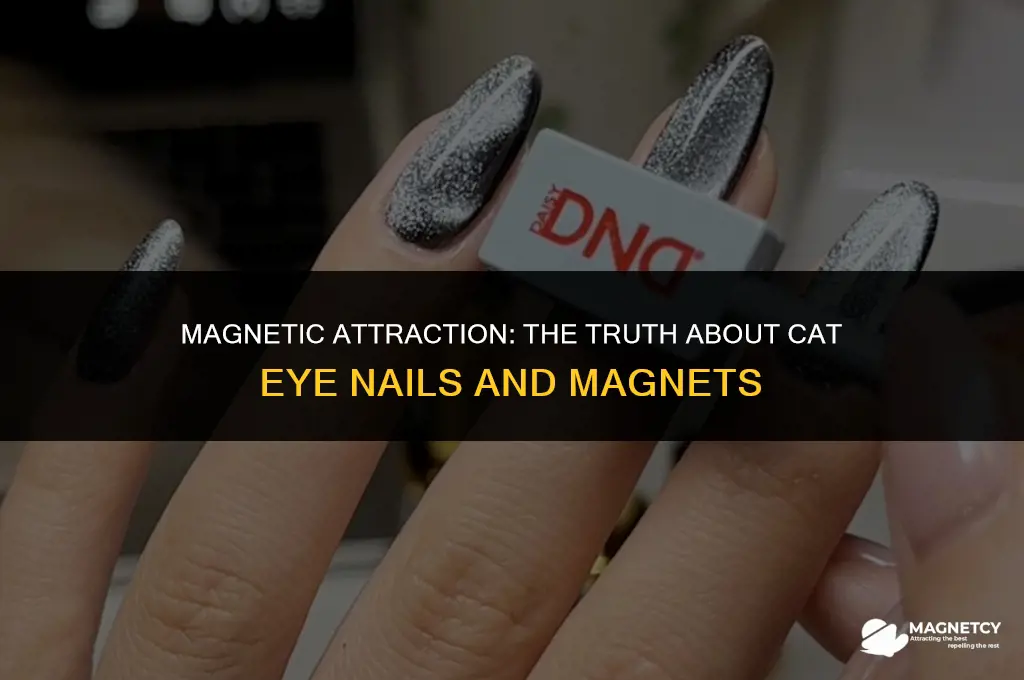 does any magnet work for cat eye nails