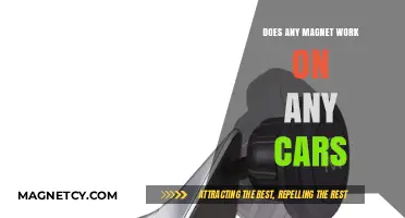 Universal Magnet Magic: Does Any Magnet Work on Any Car?