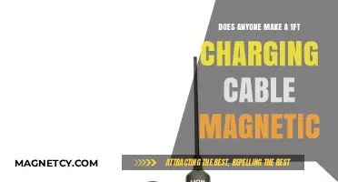 Exploring the Market for 1-Foot Magnetic Charging Cables
